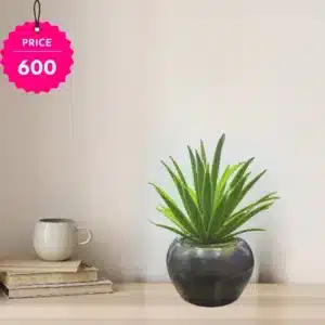 “Artificial Succulent Plant in Ceramic Pot – Tabletop Decor”